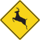 How to lower your risk for a deer collision in New Hampshire
