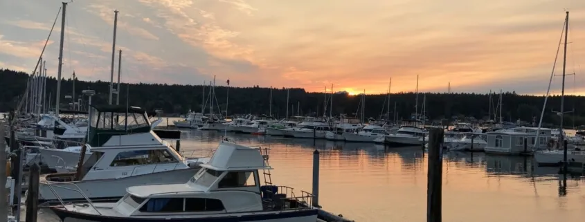 Boats docked at sunset harbor