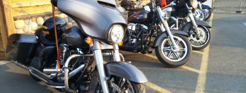 Row of sleek motorcycles